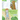 Sasquatch Summer