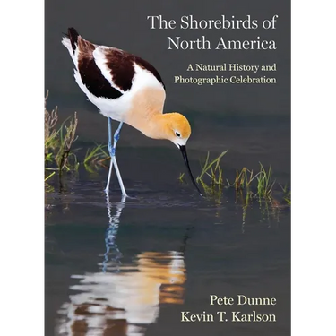 The Shorebirds of North America: A Natural History and Photographic Celebration