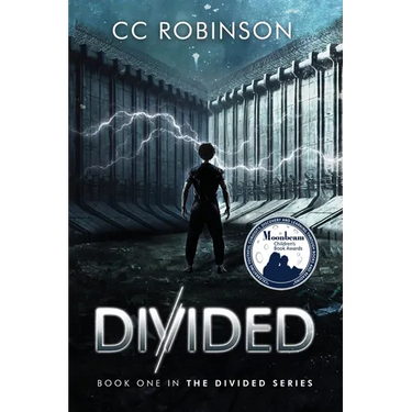 Divided: Book One in the Divided Series
