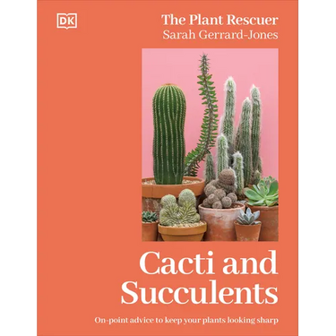 Cacti and Succulents: On-Point Advice to Keep Your Plants Looking Sharp