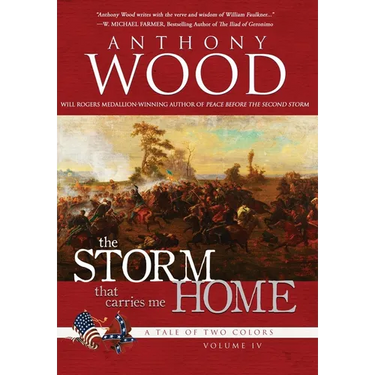 The Storm That Carries Me Home: A Story of the Civil War