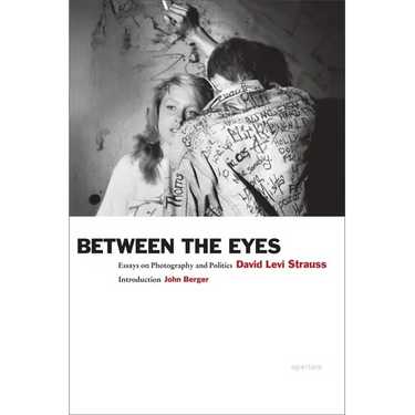 David Levi Strauss: Between the Eyes: Essays on Photography and Politics