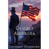 Lonely America
