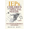 IEPs for Children with Special Needs: How to Navigate the Minefield of Laws and Rules (Book 1)