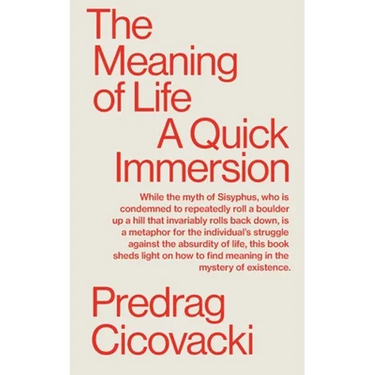 The Meaning of Life: A Quick Immersion