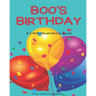 Boo's Birthday: A LIttle Illustrators Book