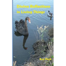 Divine Reflections in Living Things