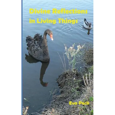 Divine Reflections in Living Things