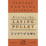 Rearing the Laying Pullet