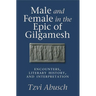 Male and Female in the Epic of Gilgamesh: Encounters, Literary History, and Interpretation