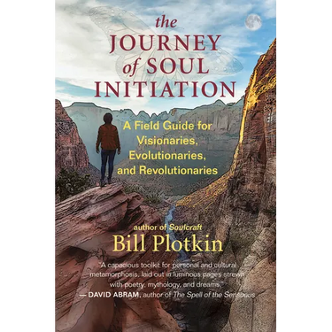 The Journey of Soul Initiation: A Field Guide for Visionaries, Evolutionaries, and Revolutionaries