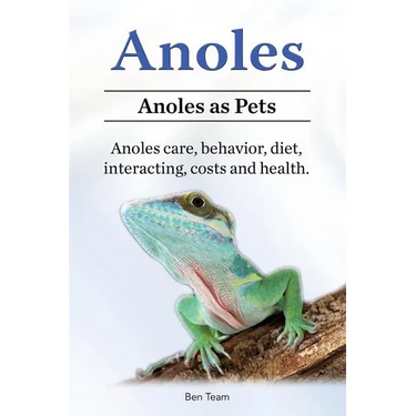 Anoles. Anoles as Pets. Anoles care, behavior, diet, interacting, costs and health.