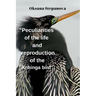 Peculiarities of the life and reproduction of the Anhinga bird