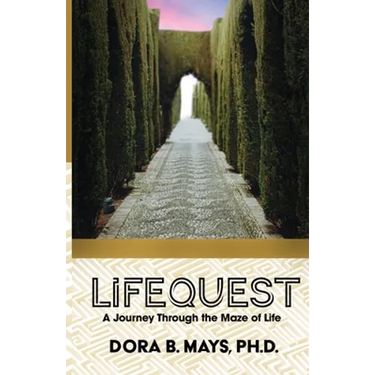 LifeQuest: A Journey Through the Maze of Life