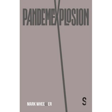 Pandemexplosion