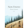 Non Finito