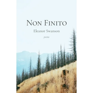 Non Finito