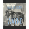Mad Anthony Wayne: The Life and Legacy of the Famous Revolutionary War General