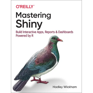 Mastering Shiny: Build Interactive Apps, Reports, and Dashboards Powered by R