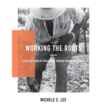 Working The Roots: Over 400 Years of Traditional African American Healing