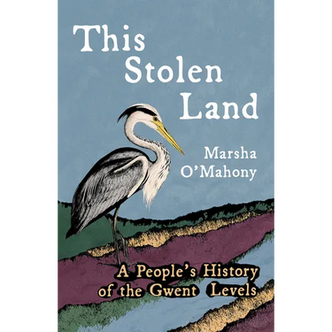 This Stolen Land: A People's History of the Gwent Levels