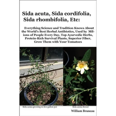 Sida acuta, Sida cordifolia, Sida rhombifolia, Etc.: Everything Science and Tradition Knows about the World's Best Herbal Antibiotics, Used by Million