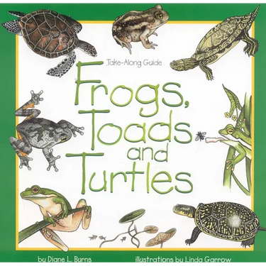 Frogs, Toads & Turtles