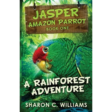 A Rainforest Adventure