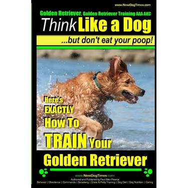 Golden Retriever, Golden Retriever Training AAA AKC Think Like a Dog, but don': Here's EXACTLY How to TRAIN Your Golden Retriever