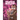 Magical Midlifer, Vol. 1: Volume 1