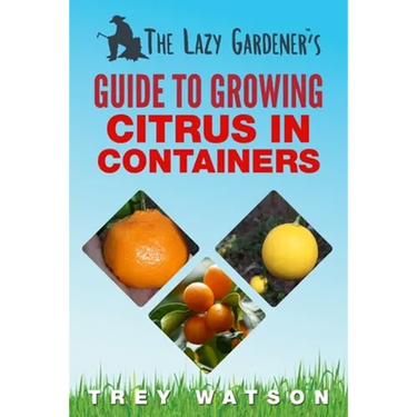 The Lazy Gardener's Guide to Growing Citrus in Containers