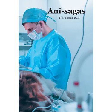 Ani-sagas