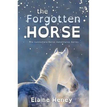 The Forgotten Horse - Dyslexia Friendly