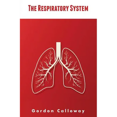 The Respiratory System