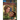 What Is the Story of Romeo and Juliet?