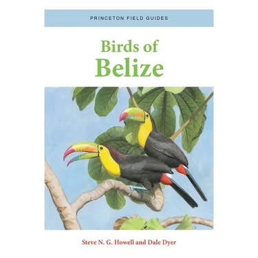 Birds of Belize