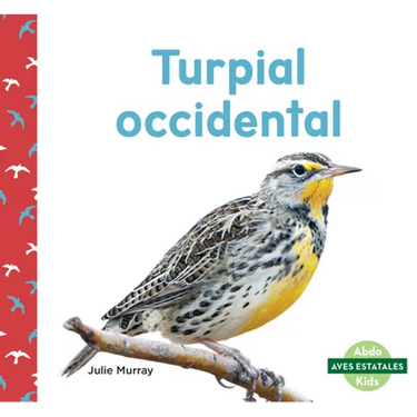 Turpial Occidental (Western Meadowlarks)