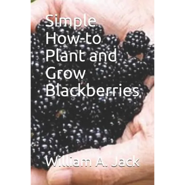 Simple How-To Plant and Grow Blackberries