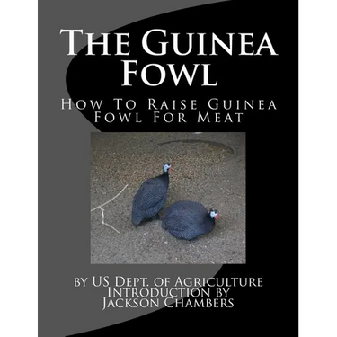 The Guinea Fowl: How To Raise Guinea Fowl For Meat