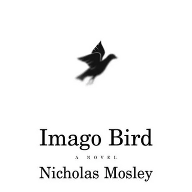 Imago Bird