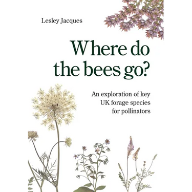 Where do the bees go?: An exploration of key UK forage species for pollinators