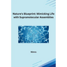 Nature's Blueprint: Mimicking Life with Supramolecular Assemblies