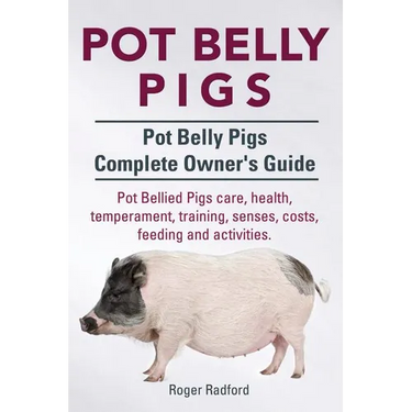 Pot Belly Pigs. Pot Belly Pigs Complete Owners Guide. Pot Bellied Pigs care, health, temperament, training, senses, costs, feeding and activities.