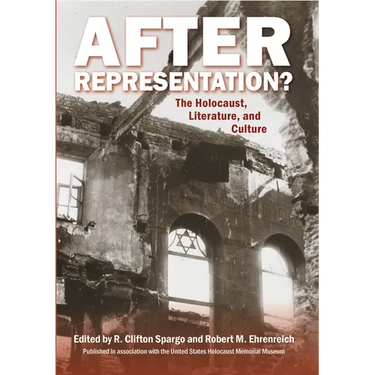 After Representation?: The Holocaust, Literature, and Culture