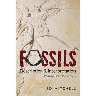 Fossils: Description & Interpretation: Within a Biblical Worldview