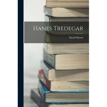 Hanes Tredegar