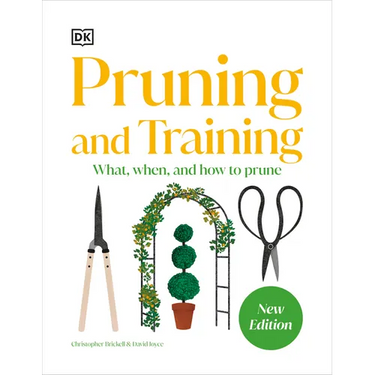 Pruning and Training: What, When, and How to Prune