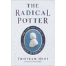 The Radical Potter: The Life and Times of Josiah Wedgwood