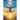 A Dream Takes Flight