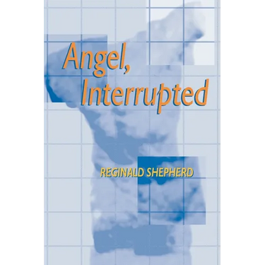 Angel Interrupted